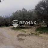  For Sale - (€ 0 / m2), Agricultural 6684 m2 Lefkada 7678441 thumb5