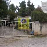  (For Sale) Land Plot || East Attica/Dionysos - 875 Sq.m, 330.000€ Dionysos 7878858 thumb1