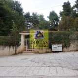  (For Sale) Land Plot || East Attica/Dionysos - 875 Sq.m, 330.000€ Dionysos 7878858 thumb6