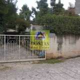  (For Sale) Land Plot || East Attica/Dionysos - 875 Sq.m, 330.000€ Dionysos 7878858 thumb8
