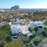  Luxuriöse Villa in Strandnähe in Calpe Alicante Costa Blanca Alicante 8179145 thumb1