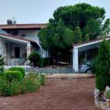  For Sale - (€ 0 / m2), House 188 m2 Epidavros 8079403 thumb0