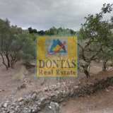  (For Sale) Land Plot || Chios/Chios - 25.000 Sq.m, 1.000.000€ Chios 7079426 thumb3