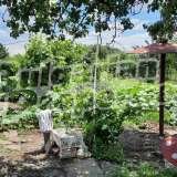  One-story house with large garden 10 km from Dobrich Dobrich city 7179536 thumb2