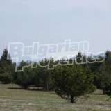  Attractive plot of land located in the project Super Borovets Borovets  5079059 thumb10
