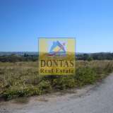  (For Sale) Land Plot || East Attica/Afidnes (Kiourka) - 5.000 Sq.m, 285.000€ Afidnes 8079663 thumb4