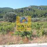  (For Sale) Land Plot || East Attica/Afidnes (Kiourka) - 5.000 Sq.m, 285.000€ Afidnes 8079663 thumb7