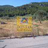  (For Sale) Land Plot || East Attica/Afidnes (Kiourka) - 5.000 Sq.m, 285.000€ Afidnes 8079663 thumb10
