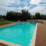  ISTRIA, POREČ (surroundings) - Two-room apartment on the ground floor with garden and swimming pool Porec 8179088 thumb12
