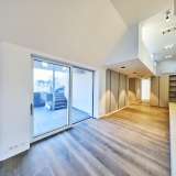  Stylish designer penthouse in a top location near Belvedere Вена 6808200 thumb9