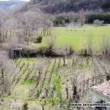  Lovely independent villa in Pollino National Park Cosenza 8108218 thumb10