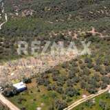  For Sale - (€ 0 / m2), Agricultural 4005 m2 Pteleos 8008255 thumb4