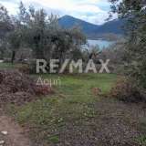  For Sale - (€ 0 / m2), Agricultural 4005 m2 Pteleos 8008255 thumb9