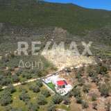  For Sale - (€ 0 / m2), Agricultural 4005 m2 Pteleos 8008255 thumb6