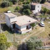  Detached house with lovely sea view Belvedere Marittimo 8108268 thumb1