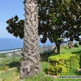  Lovely Apartment with stunning sea view Amantea 8108275 thumb37