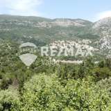  For Sale - (€ 0 / m2), Agricultural 4202 m2 Lefkada 7908380 thumb2