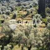  For Sale - (€ 0 / m2), Agricultural 4202 m2 Lefkada 7908380 thumb7