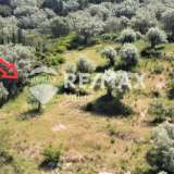  For Sale - (€ 0 / m2), Agricultural 4202 m2 Lefkada 7908380 thumb3