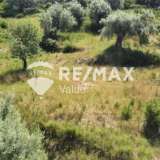  For Sale - (€ 0 / m2), Agricultural 4202 m2 Lefkada 7908380 thumb8