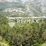  For Sale - (€ 0 / m2), Agricultural 4202 m2 Lefkada 7908380 thumb4