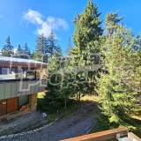  One-bedroom apartment at Euphoria Club Hotel & Resort in Borovets Borovets  8008384 thumb11