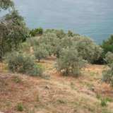  For Sale - (€ 0 / m2), Agricaltural 1990 m2 Afetes 4208534 thumb5