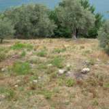  For Sale - (€ 0 / m2), Agricaltural 1990 m2 Afetes 4208534 thumb6