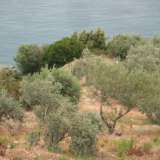  For Sale - (€ 0 / m2), Agricaltural 1990 m2 Afetes 4208534 thumb8