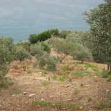  For Sale - (€ 0 / m2), Agricaltural 1990 m2 Afetes 4208534 thumb7