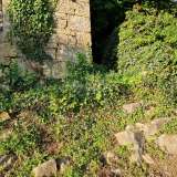  ISTRIA, LIVADE (okolice) - Kamienne antyki z panoramicznym widokiem Oprtalj 8208544 thumb22