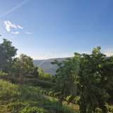  ISTRIEN, LIVADE (Umgebung) – Steinantiquitäten mit Panoramablick Oprtalj 8208544 thumb8