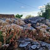  ISTRIA, LIVADE (okolice) - Kamienne antyki z panoramicznym widokiem Oprtalj 8208544 thumb31