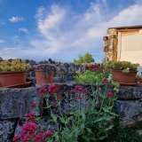  ISTRIA, LIVADE (okolice) - Kamienne antyki z panoramicznym widokiem Oprtalj 8208544 thumb29