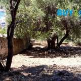  FOR SALE investment, plot, 358 sq.m. in Leros, in Lakki, fenced, sloping with amphitheatrical sea views from which it is 195m., with a building factor of 0.5 and a coverage of 70% builds about 180 sqm. Ideal for exploitation very close to the center, the  Leros 8008577 thumb0