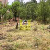  (For Sale) Land Plot || East Attica/Drosia - 750 Sq.m, 350.000€ Drosia 8008619 thumb0