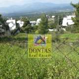  (For Sale) Land Plot || Athens North/Ekali - 820 Sq.m, 385.000€ Athens 7708620 thumb1
