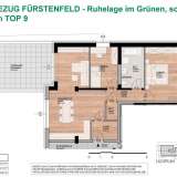  PROVISIONSFREI!  ERSTBEZUG 3-Zimmer Wohnung in Fürstenfeld - Ruhelage im Grünen, schnell im Zentrum Fürstenfeld 8180137 thumb3