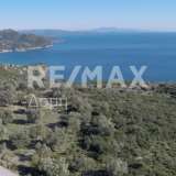  For Sale - (€ 0 / m2), Agricultural 10376 m2 Sipiada 7680203 thumb0