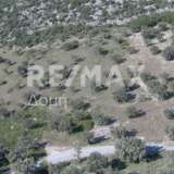  For Sale - (€ 0 / m2), Agricultural 10376 m2 Sipiada 7680203 thumb8