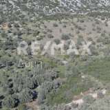  For Sale - (€ 0 / m2), Agricultural 10376 m2 Sipiada 7680203 thumb6