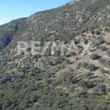  For Sale - (€ 0 / m2), Agricultural 10376 m2 Sipiada 7680203 thumb9