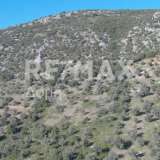  For Sale - (€ 0 / m2), Agricultural 10376 m2 Sipiada 7680203 thumb7