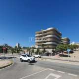  Elche Alicante’de Plajın Yanında Şık Daireler Alicante 8180210 thumb0
