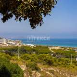  Lägenheter Nära Stranden i Arenales del Sol Alicante Alicante 8180210 thumb4