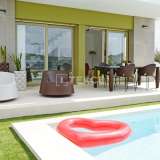  Villas with Exclusive Pools and Gardens in Orihuela Alicante Alicante 8180233 thumb5
