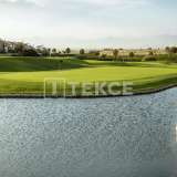  Contemporary Golf Apartments in Algorfa Costa Blanca Alicante 8180234 thumb6