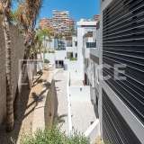  Beachfront Apartments in Benidorm Alicante Costa Blanca Alicante 8180239 thumb8