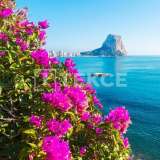  Villa's met Panoramisch Zeezicht in Calpe Alicante Alicante 8180242 thumb8