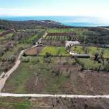  Satılık 6600m2 arazi, Kotor Belediyesi'ne bağlı Krimovica'da. Krimovica 7980372 thumb4